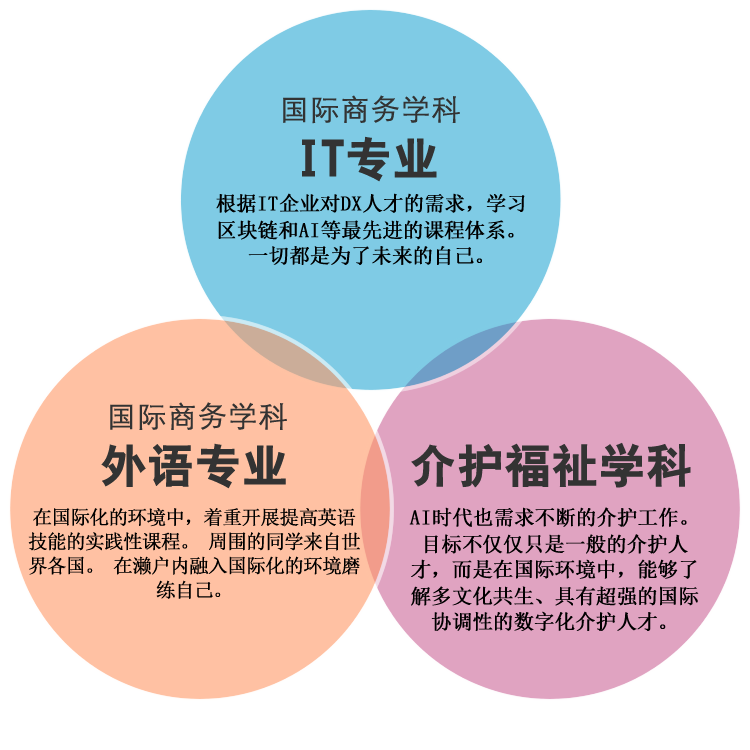 国际贸易学科 外语学科